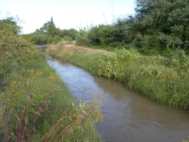 Vista antes de la limpieza de taludes a ambas margenes canal Contrera Lopez 1